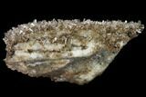Transparent Columnar Calcite Crystal Cluster on Quartz - China #164009-4